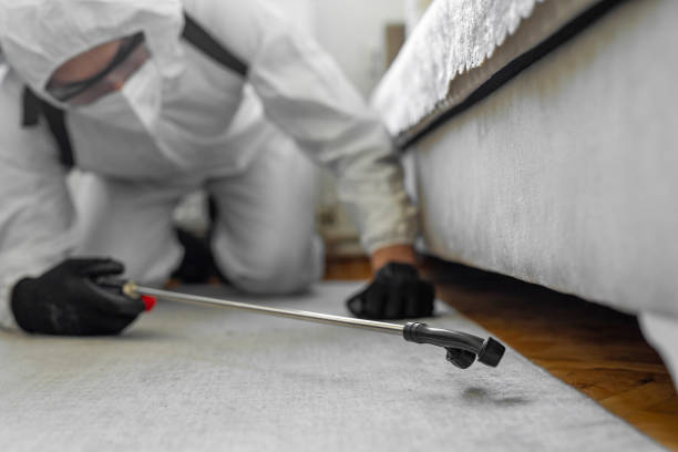 Professional Cockroach Control technician working in Southmont, NC